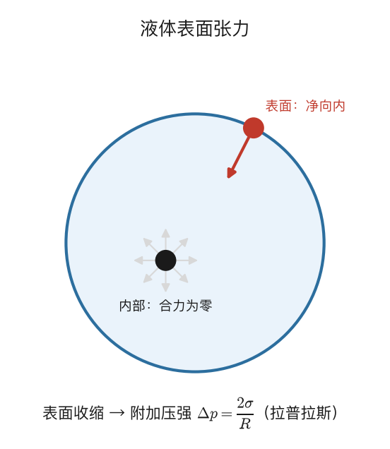 液体表面张力